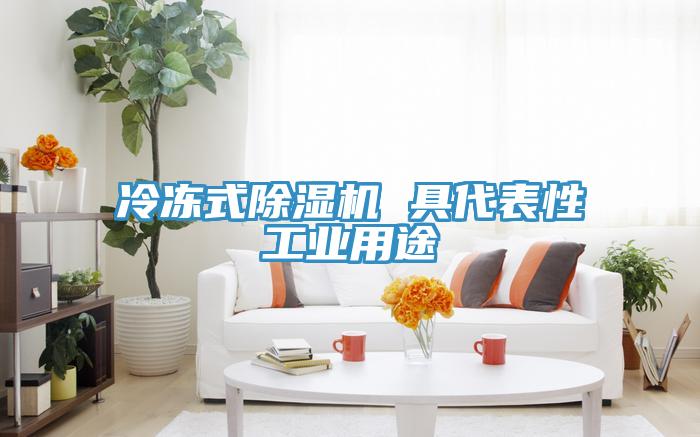 冷凍式91看片网站 具代表性工業用途