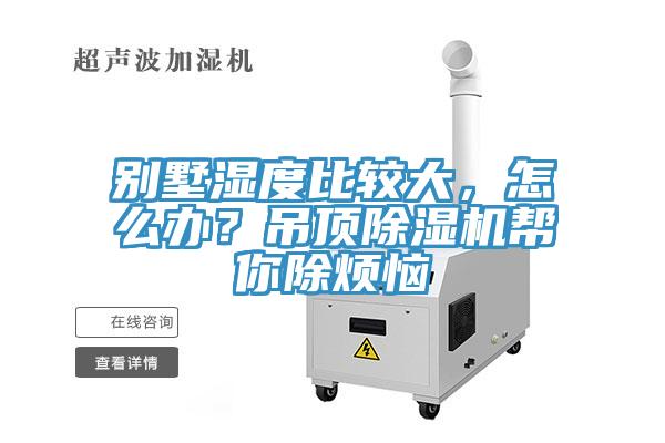 別墅濕度比較大，怎麽辦？吊頂91看片网站幫你除煩惱