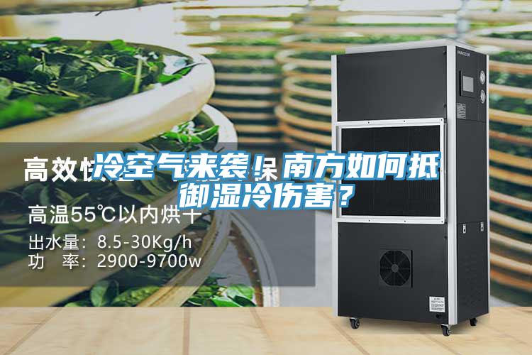 冷空氣來襲！南方如何抵禦濕冷傷害？