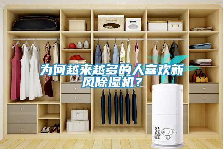 為何越來越多的人喜歡新風91看片网站？