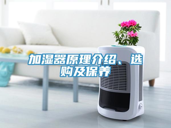 加濕器原理介紹、選購及保養