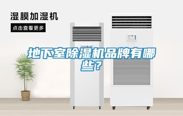 地下室91看片网站品牌有哪些？