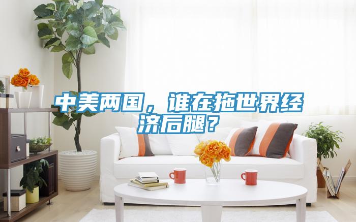中美兩國，誰在拖世界經濟後腿？