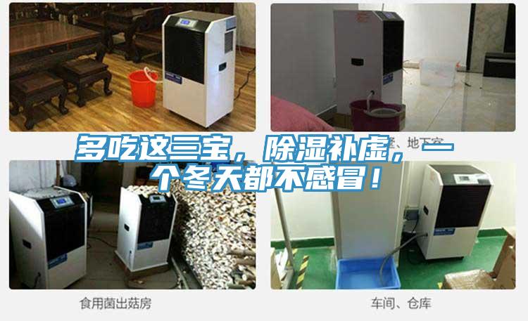 多吃這三寶，除濕補虛，一個冬天都不感冒！