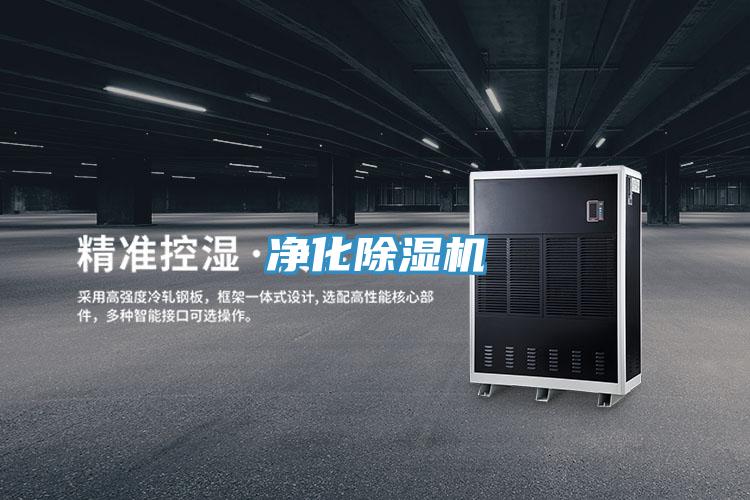 淨化91看片网站