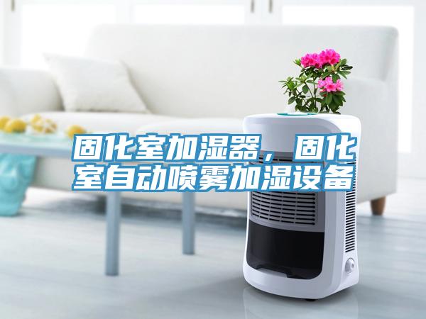 固化室加濕器，固化室自動噴霧加濕設備