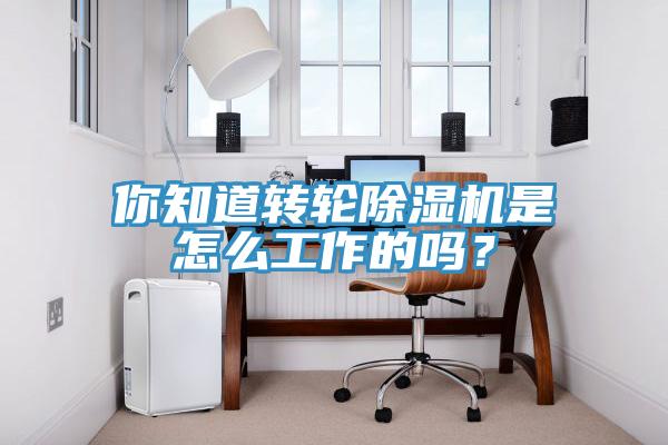 你知道轉輪91看片网站是怎麽工作的嗎？