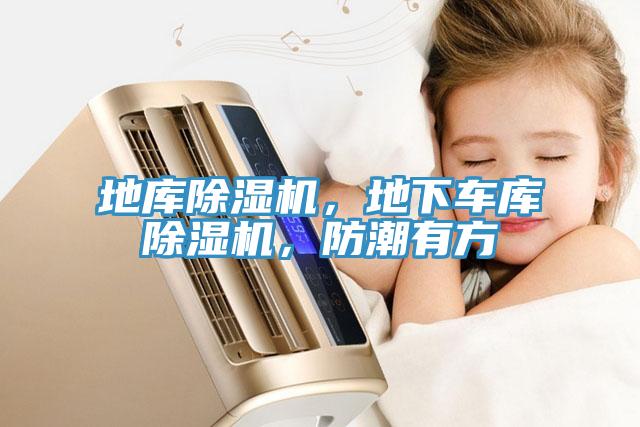 地庫91看片网站，地下車庫91看片网站，防潮有方