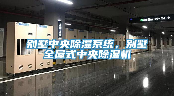 別墅中央除濕係統，別墅全屋式中央91看片网站