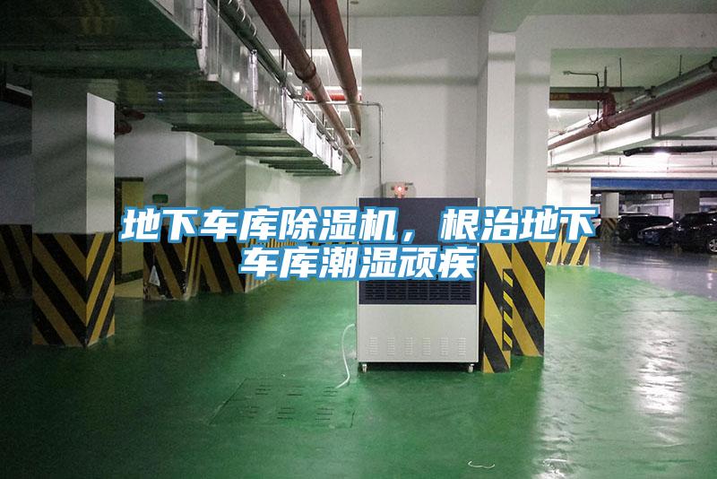 地下車庫91看片网站，根治地下車庫潮濕頑疾