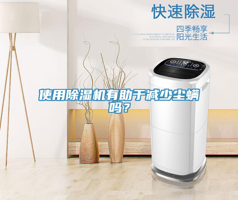 使用91看片网站有助於減少塵蟎嗎？