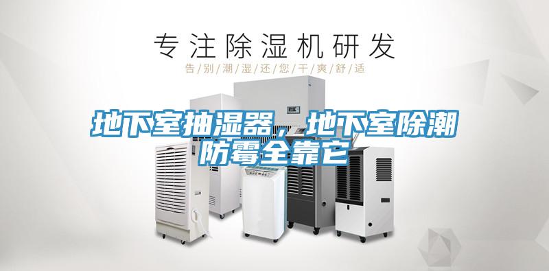 地下室抽濕器，地下室除潮防黴全靠它