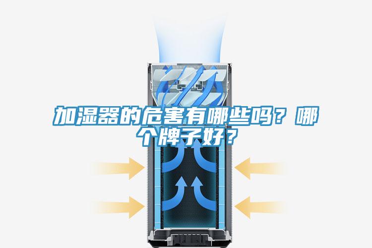加濕器的危害有哪些嗎？哪個牌子好？