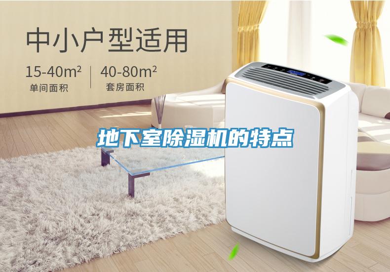 地下室91看片网站的特點