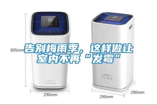 告別梅雨季，這樣做讓室內不再“發黴”