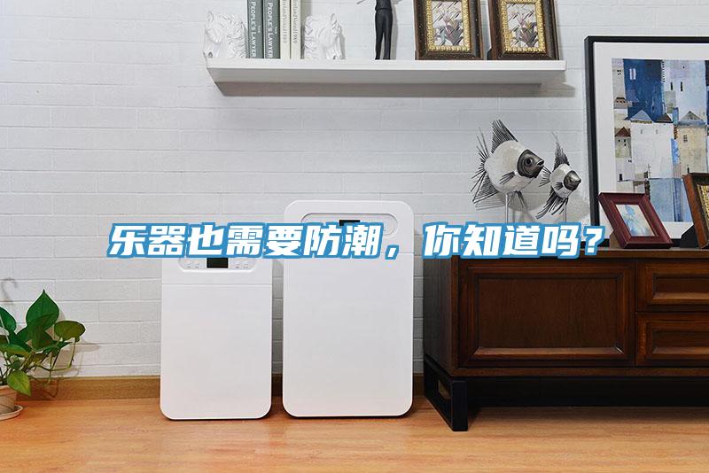 樂器也需要防潮，你知道嗎？