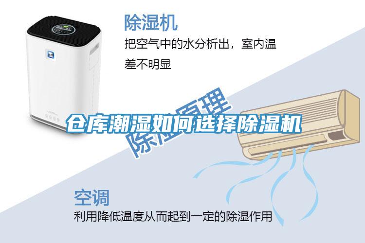 倉庫潮濕如何選擇91看片网站