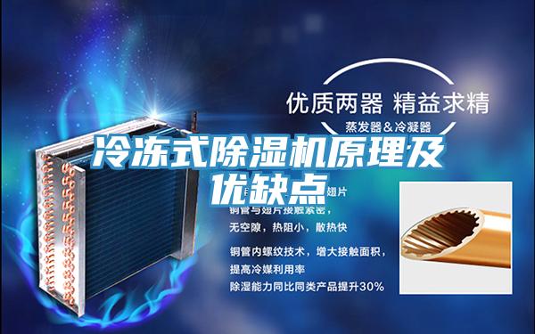 冷凍式91看片网站原理及優缺點