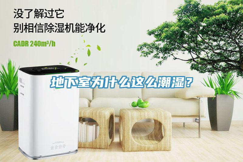 地下室為什麽這麽潮濕？