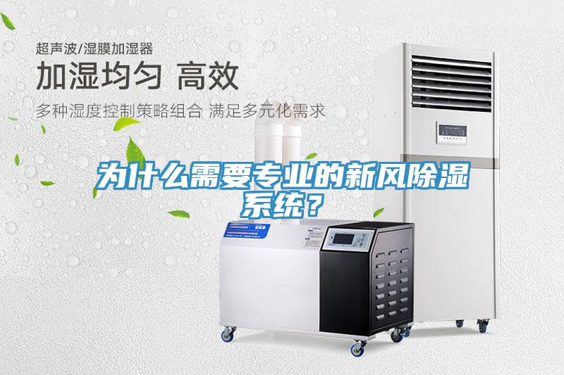 為什麽需要專業的新風除濕係統？