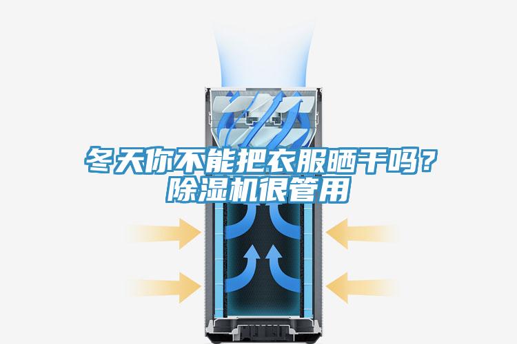 冬天你不能把衣服曬幹嗎？91看片网站很管用