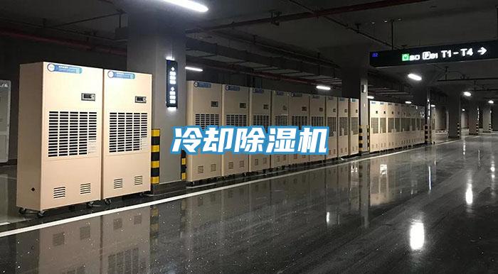 冷卻91看片网站