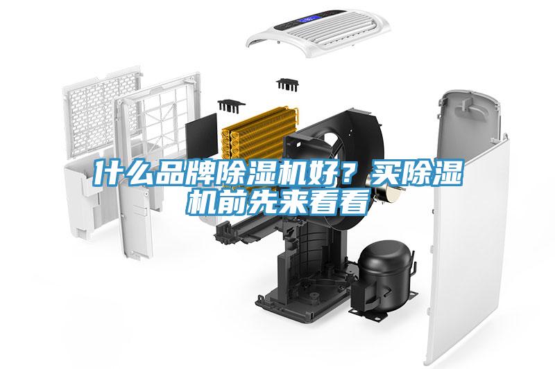 什麽品牌91看片网站好？買91看片网站前先來看看