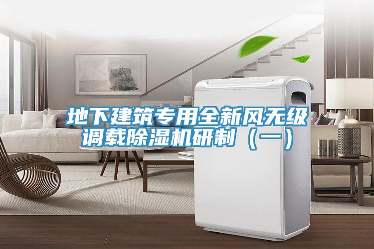 地下建築專用全新風無級調載91看片网站研製（一）