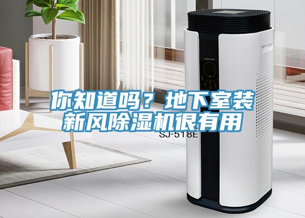 你知道嗎？地下室裝新風91看片网站很有用
