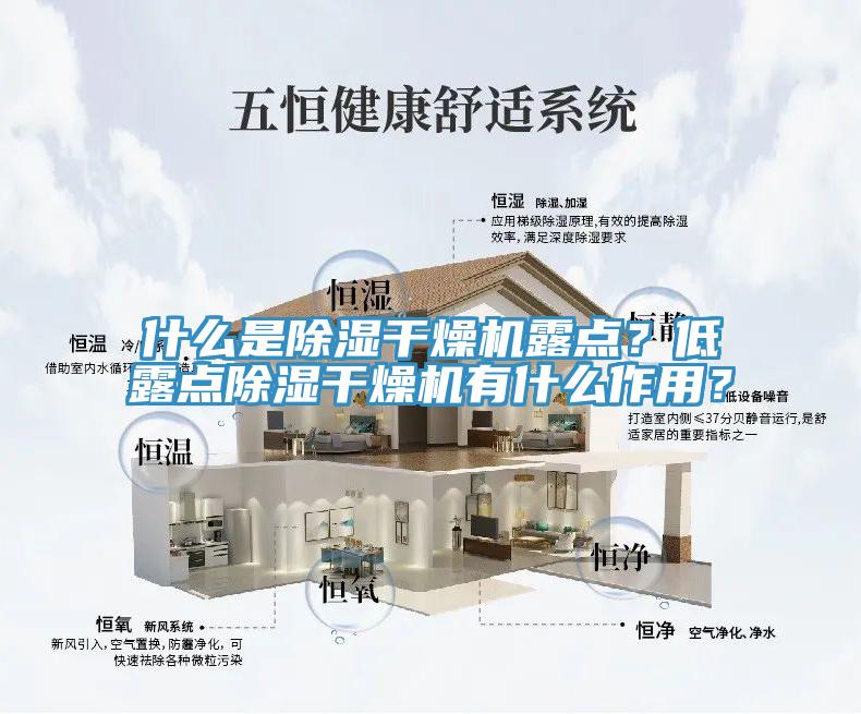 什麽是除濕幹燥機露點？低露點除濕幹燥機有什麽作用？