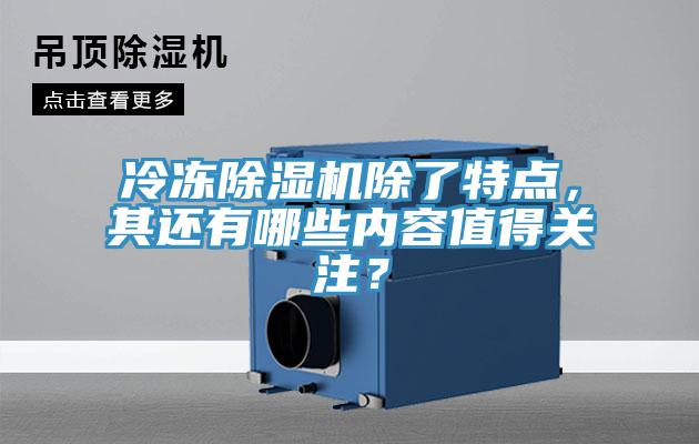 冷凍91看片网站除了特點，其還有哪些內容值得關注？