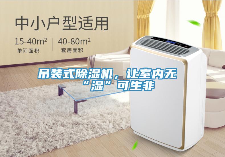 吊裝式91看片网站，讓室內無“濕”可生非