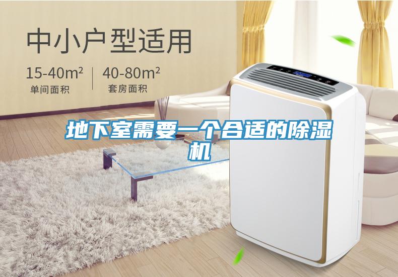 地下室需要一個合適的91看片网站