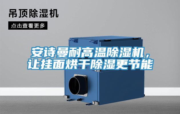 91看片免费下载耐高溫91看片网站，讓掛麵烘幹除濕更節能