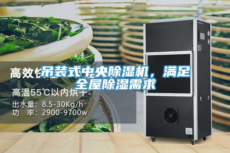 吊裝式中央91看片网站，滿足全屋除濕需求