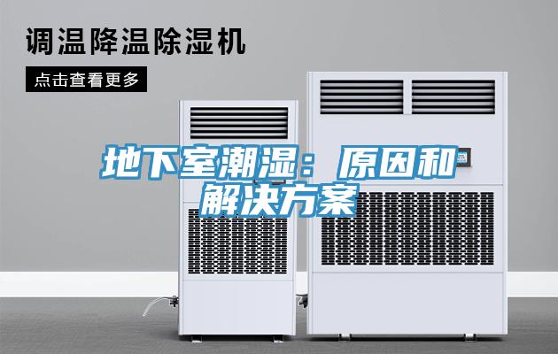 地下室潮濕：原因和解決方案
