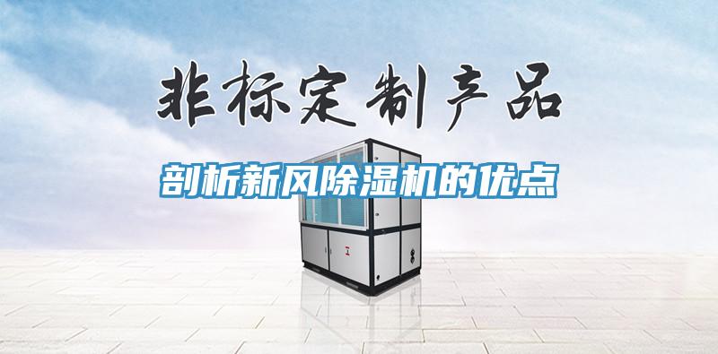 剖析新風91看片网站的優點