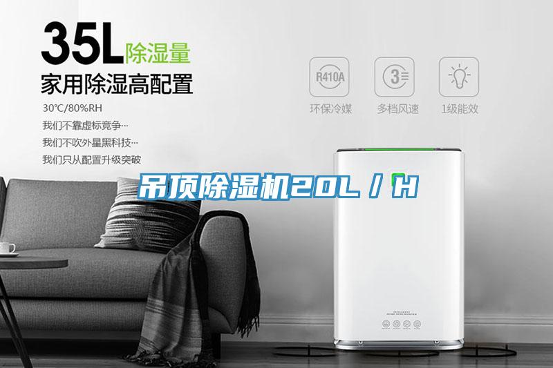 吊頂91看片网站20L／H