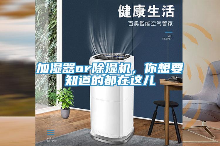 加濕器or91看片网站，你想要知道的都在這兒