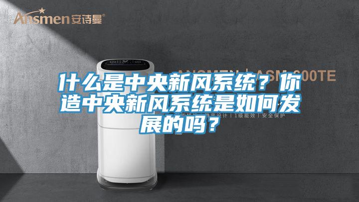 什麽是中央新風係統？你造中央新風係統是如何發展的嗎？