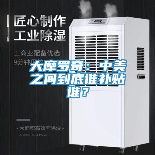 大摩羅奇：中美之間到底誰補貼誰？