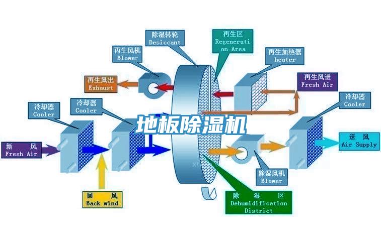 地板91看片网站
