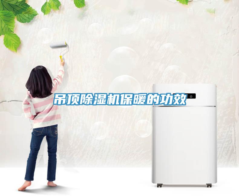 吊頂91看片网站保暖的功效