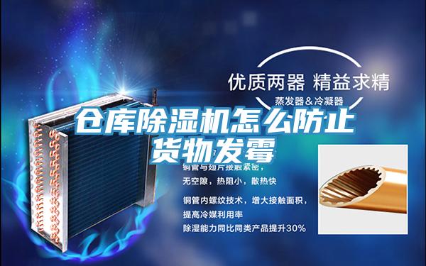 倉庫91看片网站怎麽防止貨物發黴