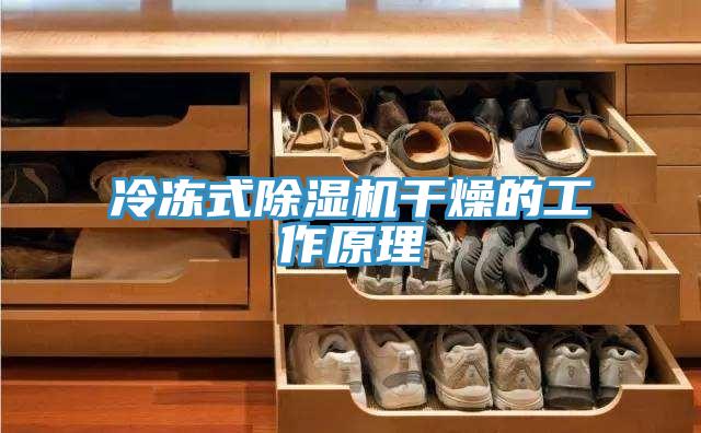 冷凍式91看片网站幹燥的工作原理