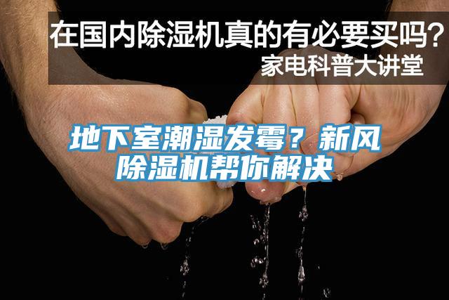 地下室潮濕發黴？新風91看片网站幫你解決