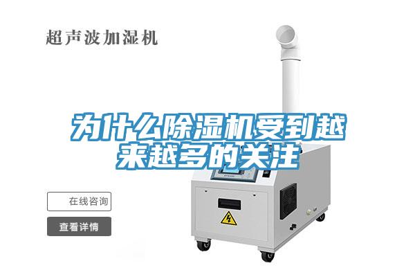 為什麽91看片网站受到越來越多的關注
