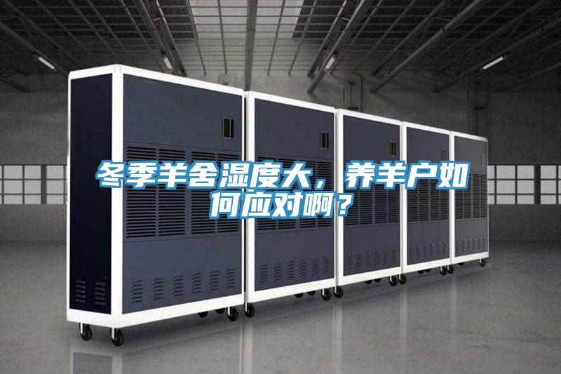 冬季羊舍濕度大，養羊戶如何應對啊？