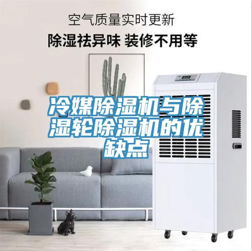 冷媒91看片网站與除濕輪91看片网站的優缺點