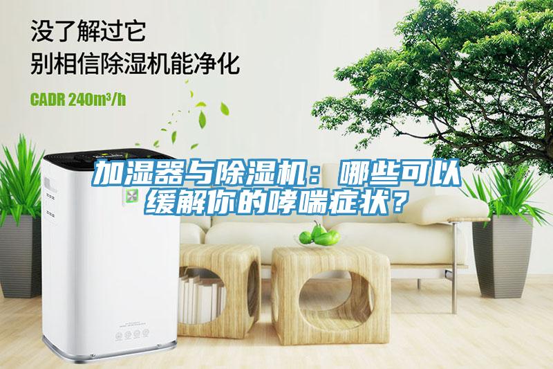 加濕器與91看片网站：哪些可以緩解你的哮喘症狀？
